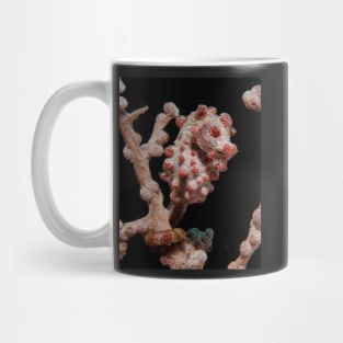 A Pygmy Seahorse in Indonesia Mug